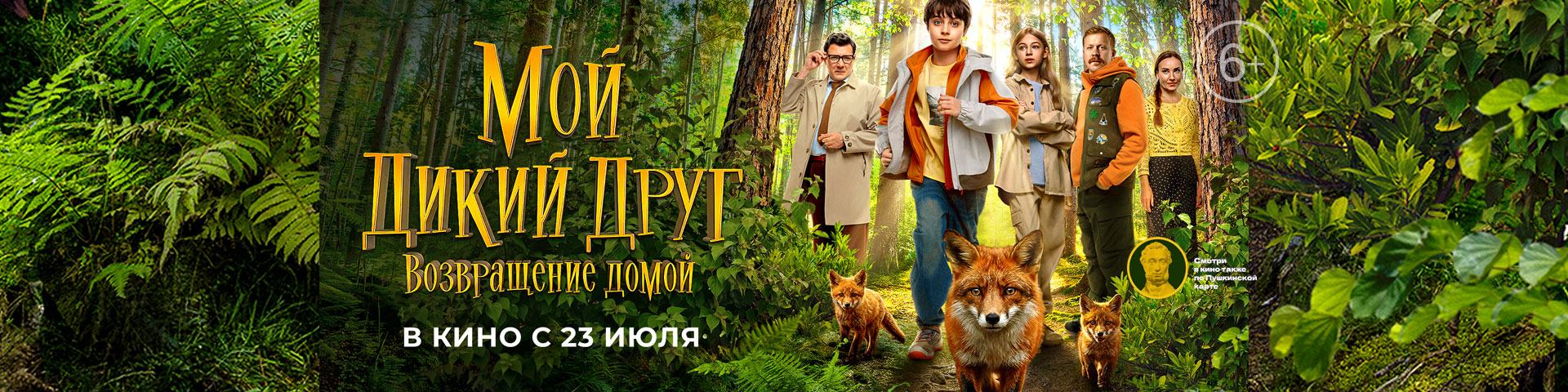 Мой дикий друг. Возвращение домой